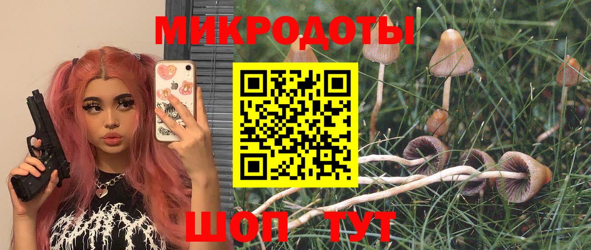 Псилоцибиновые грибы прущие грибы  Вход с VPN  Светлоград  Галлюциногенные грибы MAGIC MUSHROOMS 